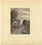 Image ID 822235