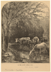 Image ID 822237
