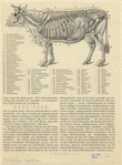 Image ID 822238