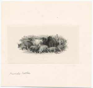 Image ID 822241
