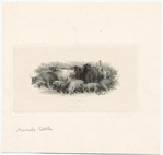 Image ID 822241
