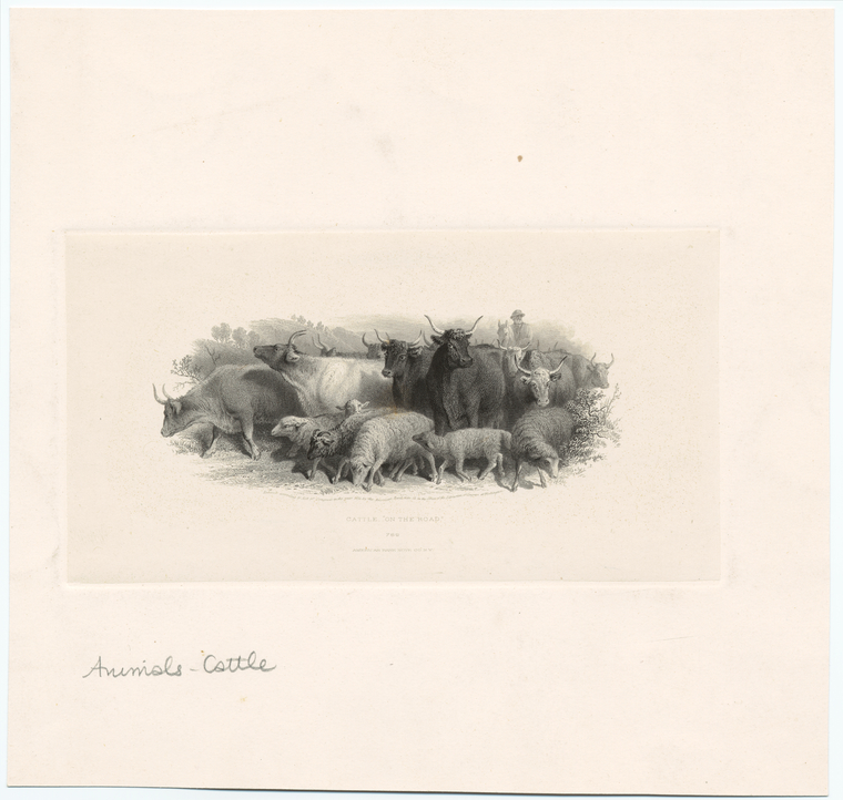 Image ID 822241
