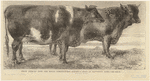 Image ID 822244