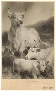 Image ID 822247