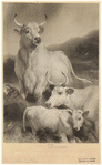 Image ID 822247