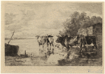 Image ID 822258