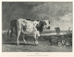 Image ID 822259