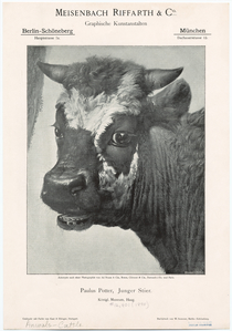 Image ID 822260