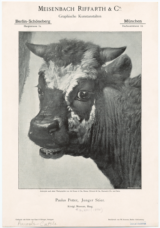 Image ID 822260
