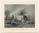 Image ID 822263