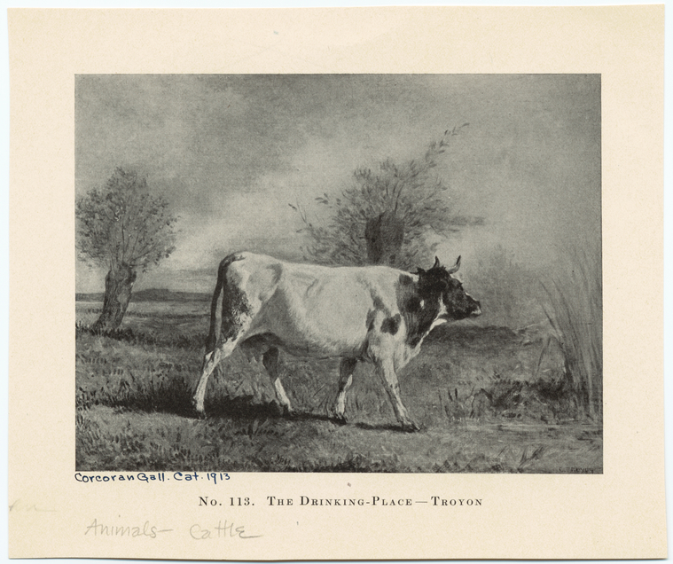 Image ID 822263
