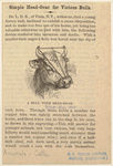 Image ID 822265