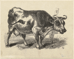Image ID 822266