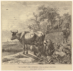 Image ID 822270