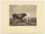 Image ID 822271