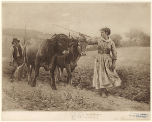 Image ID 822275