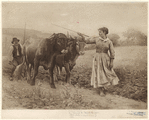 Image ID 822275