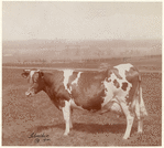 Image ID 822280