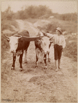 Image ID 822281