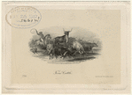 Image ID 822284