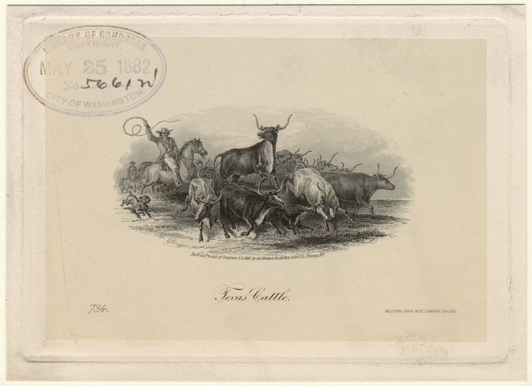 Image ID 822284
