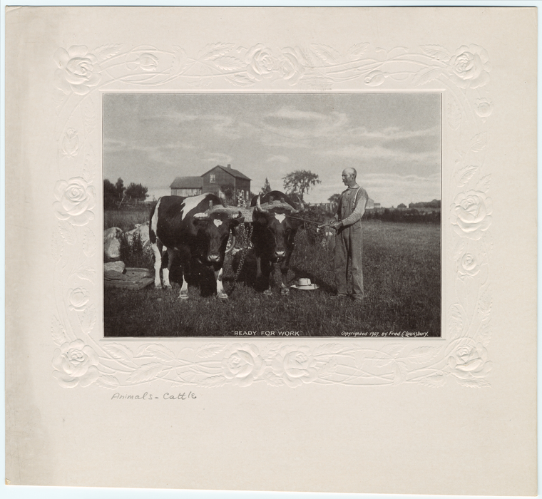 Image ID 822286
