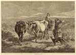 Image ID 822290
