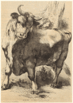 Image ID 822292