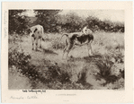 Image ID 822293
