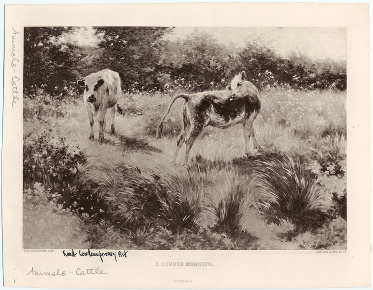 Image ID 822293
