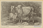 Image ID 822296