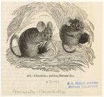 Image ID 822305