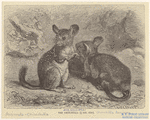 Image ID 822308