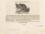 Image ID 822309