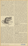 Image ID 822311