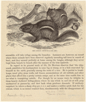 Image ID 822313