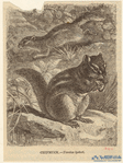 Image ID 822314