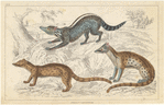 Image ID 822316