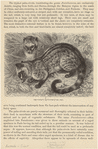 Image ID 822318