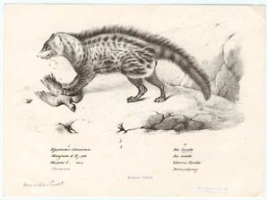Image ID 822321