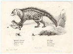 Image ID 822321
