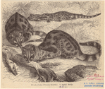 Image ID 822324