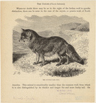 Image ID 822340