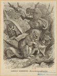 Image ID 822344