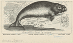 Image ID 822347