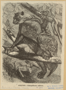 Image ID 822349