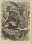 Image ID 822349