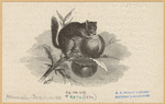 Image ID 822351