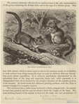 Image ID 822353