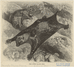 Image ID 822354